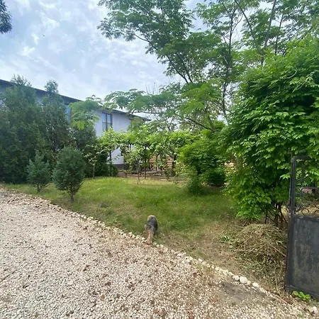 Vila Sarah * Костинешти