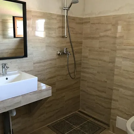 Guest house Vila Sarah Costinesti